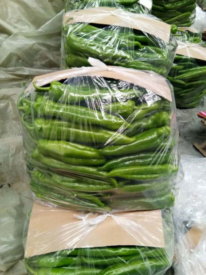 绿皮尖椒﹥20厘米青中辣，，尖椒，