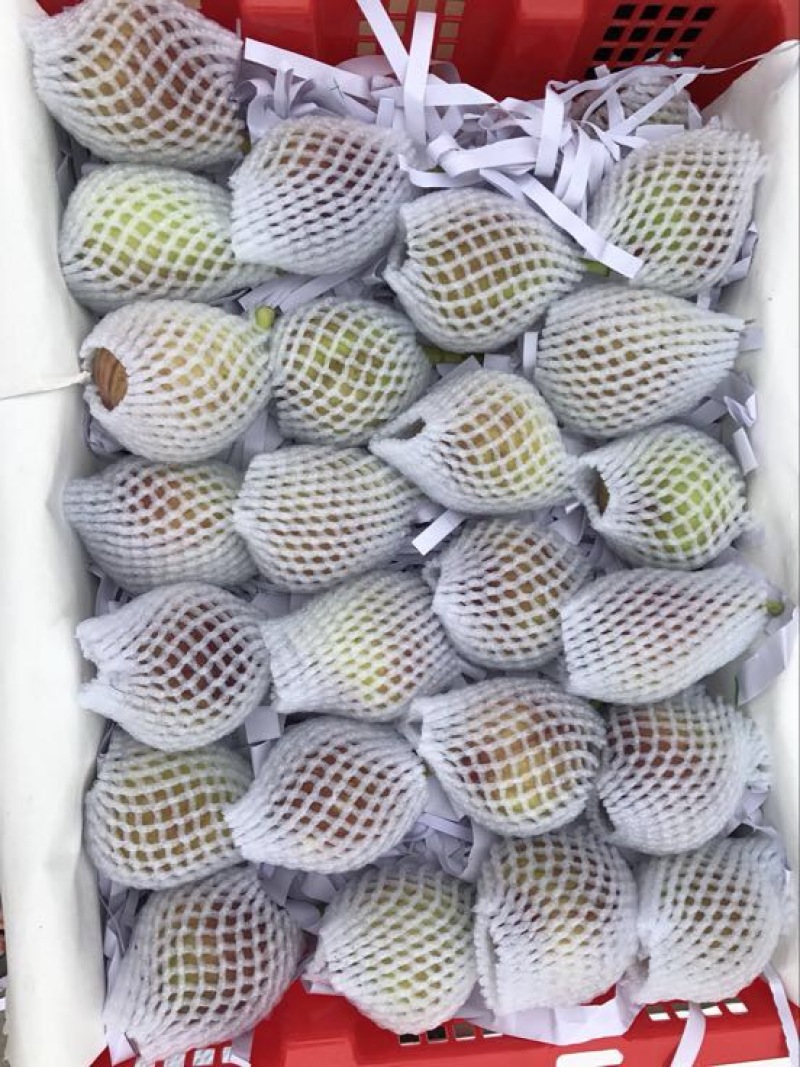 波姬红无花果90~120g