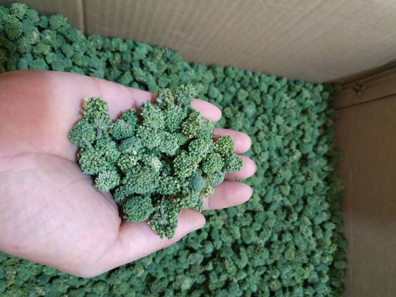 文山三年三七花云南人工干货现货