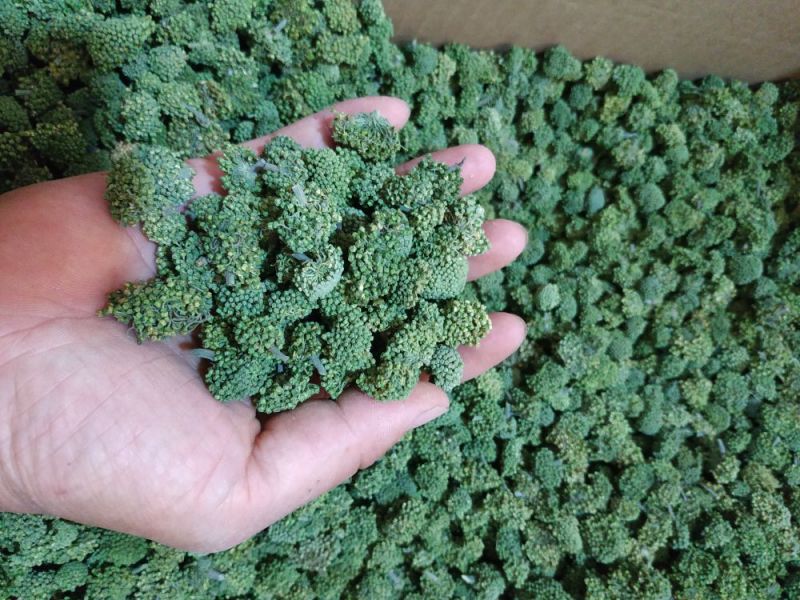 文山三年三七花云南人工干货现货