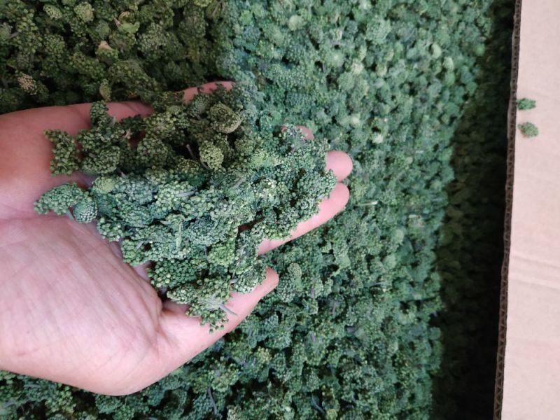 文山三年三七花云南人工干货现货