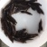 胡子鲶鱼苗塘鲺塘角鱼