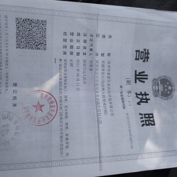 专业做粉条26年