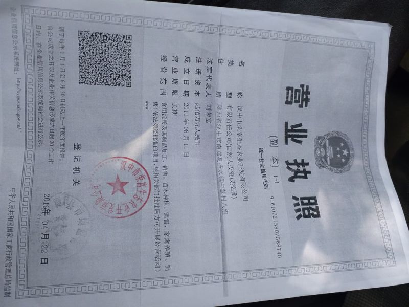 专业做粉条26年