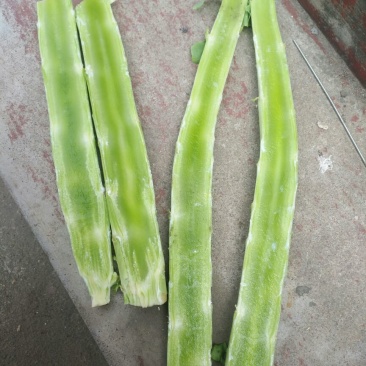 莴苣杆子