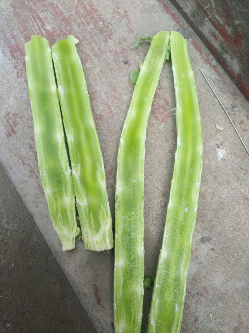 莴苣杆子