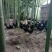 黑土鸡蛋