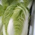 大白菜净菜4~6斤