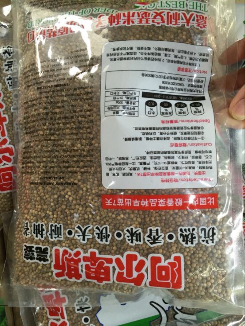 香菜种子