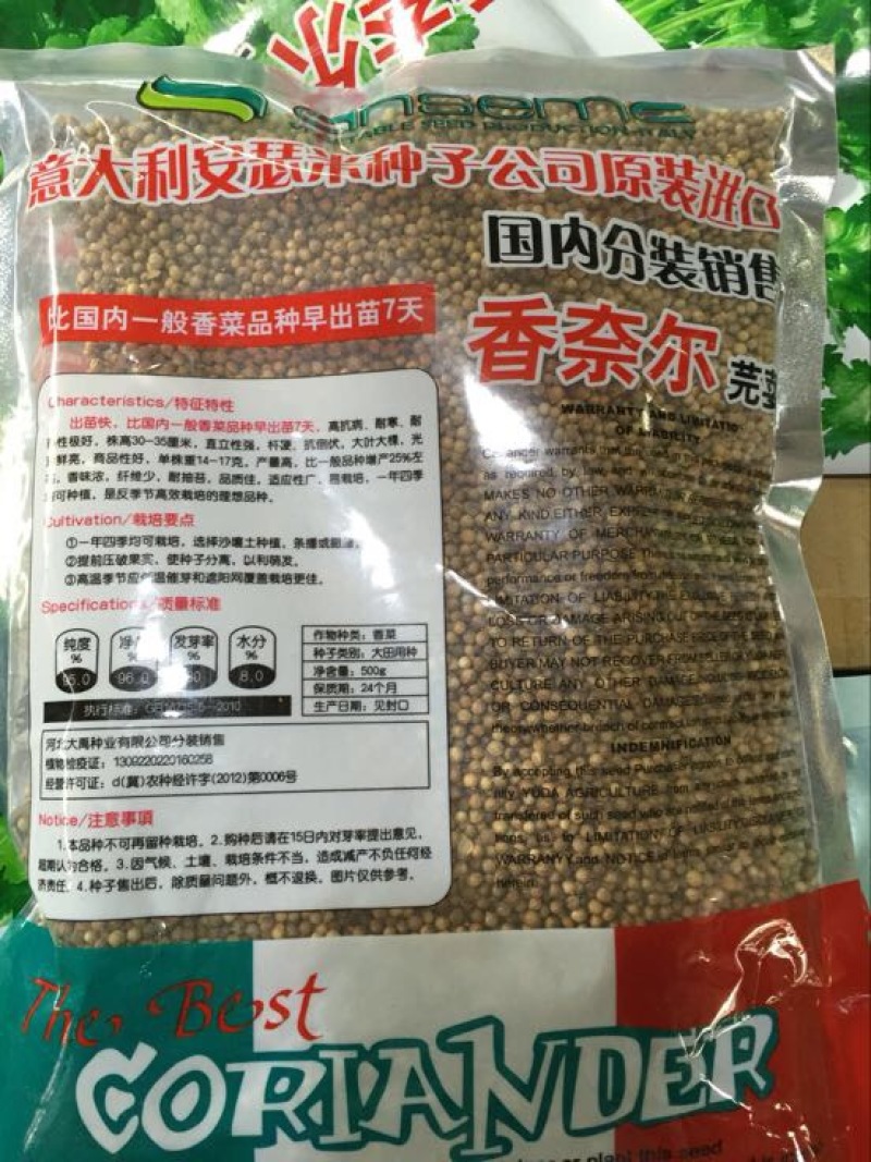香菜种子