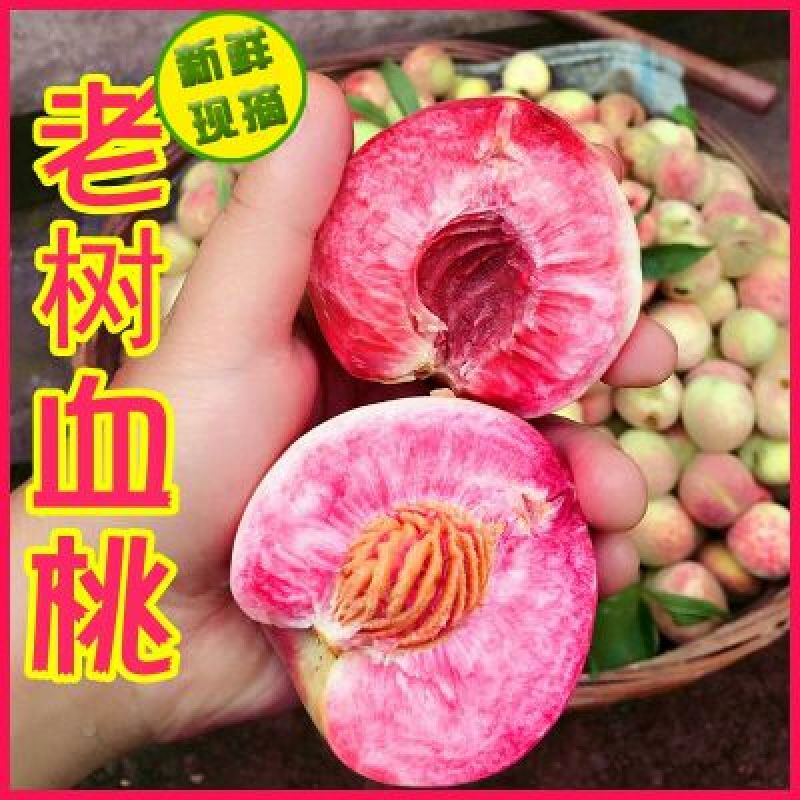 桃子桃园基地，自产自销欢迎咨询订购