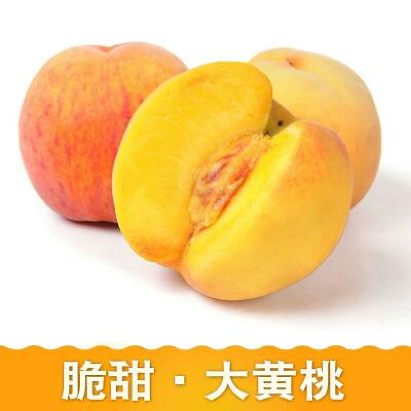 桃子桃园基地，自产自销欢迎咨询订购