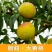 桃子桃园基地，自产自销欢迎咨询订购
