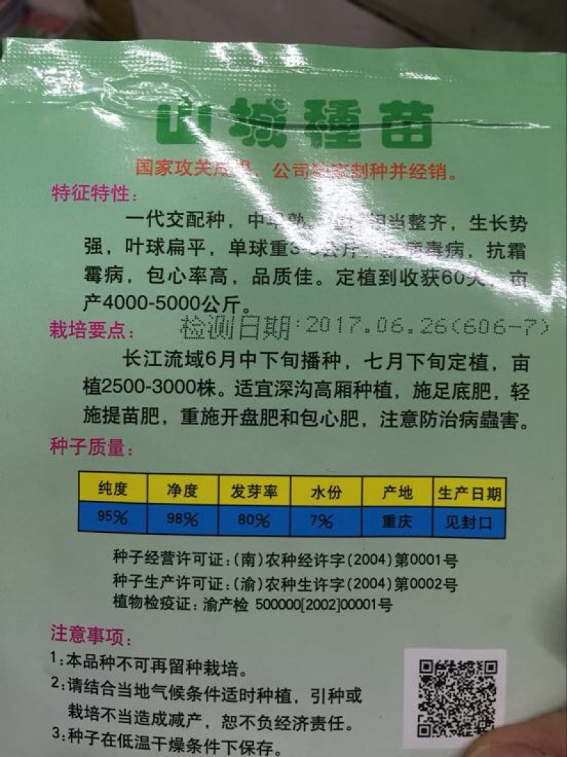 甘蓝种子