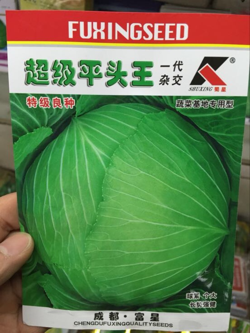 甘蓝种子