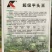 甘蓝种子