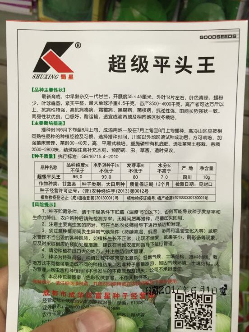 甘蓝种子