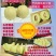 银帝3斤以上