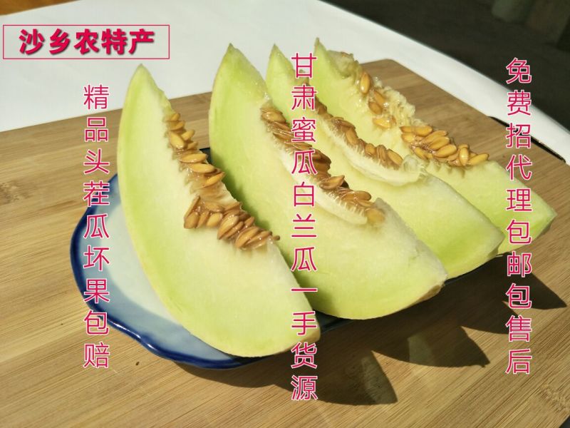 银帝3斤以上