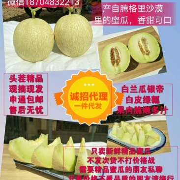甘肃甜瓜白兰瓜银帝一件包邮
