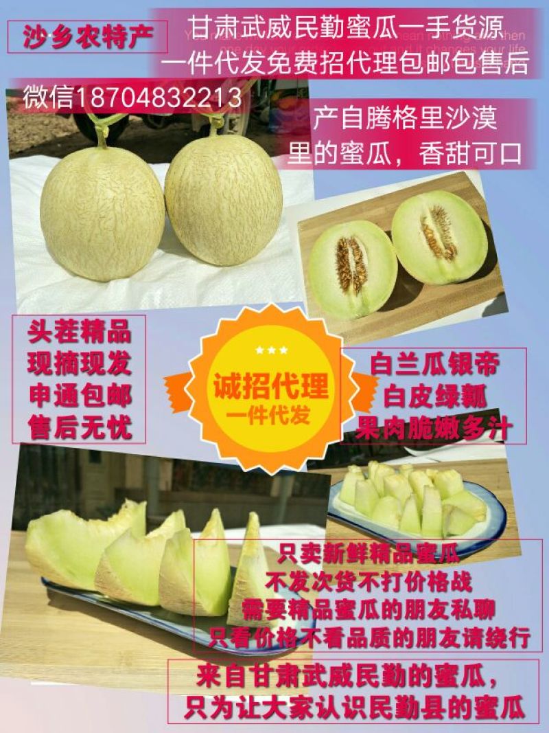 甘肃甜瓜白兰瓜银帝一件包邮