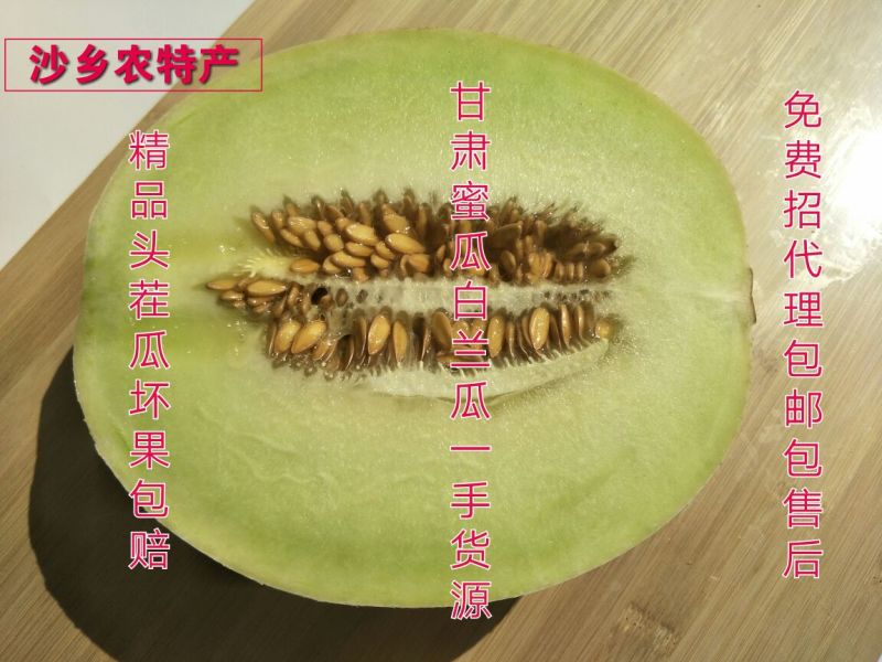 甘肃甜瓜白兰瓜银帝一件包邮