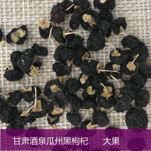 甘肃酒泉瓜州黑枸杞头茬大果干货