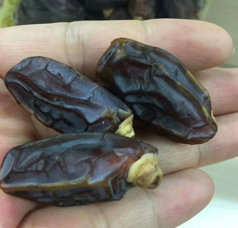 椰枣通货干枣