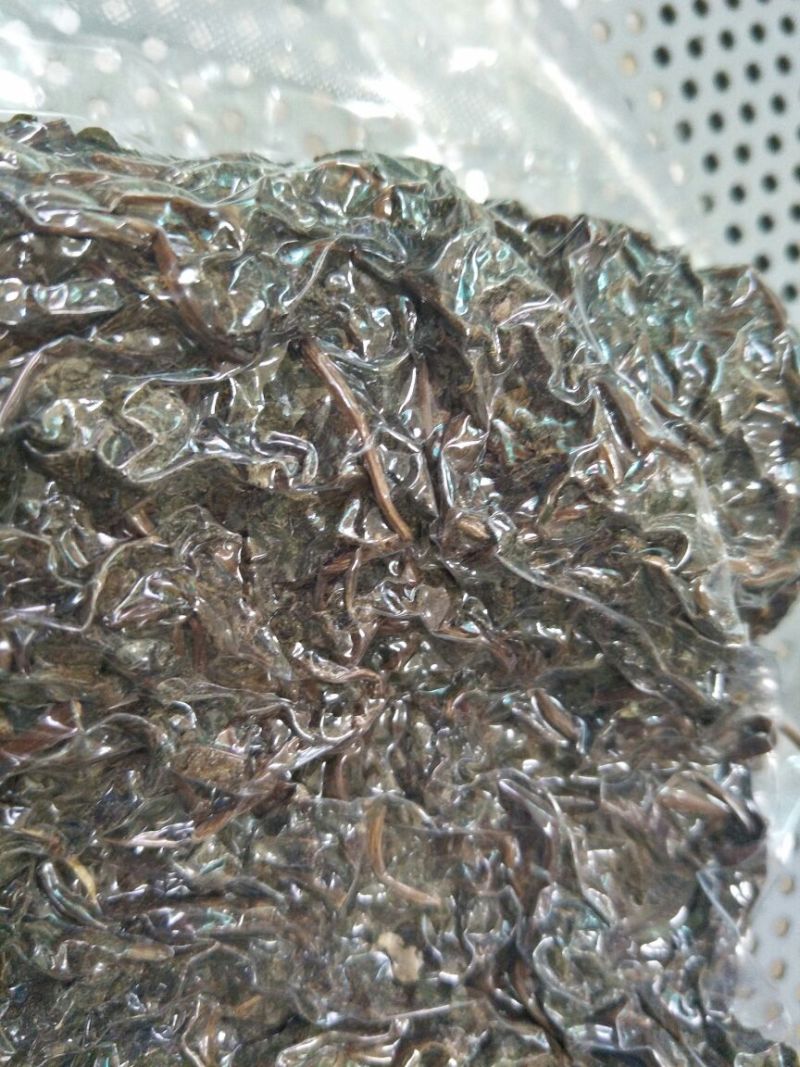 农家手工腌制干香椿