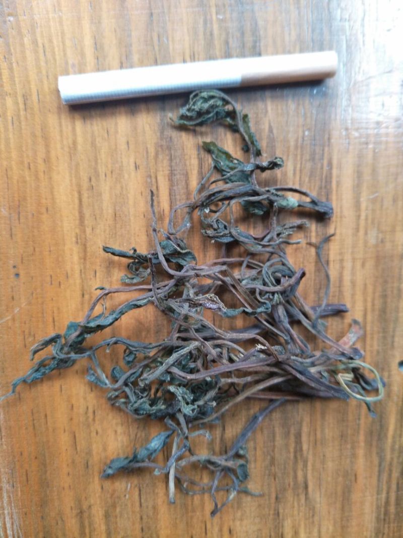 农家手工腌制干香椿