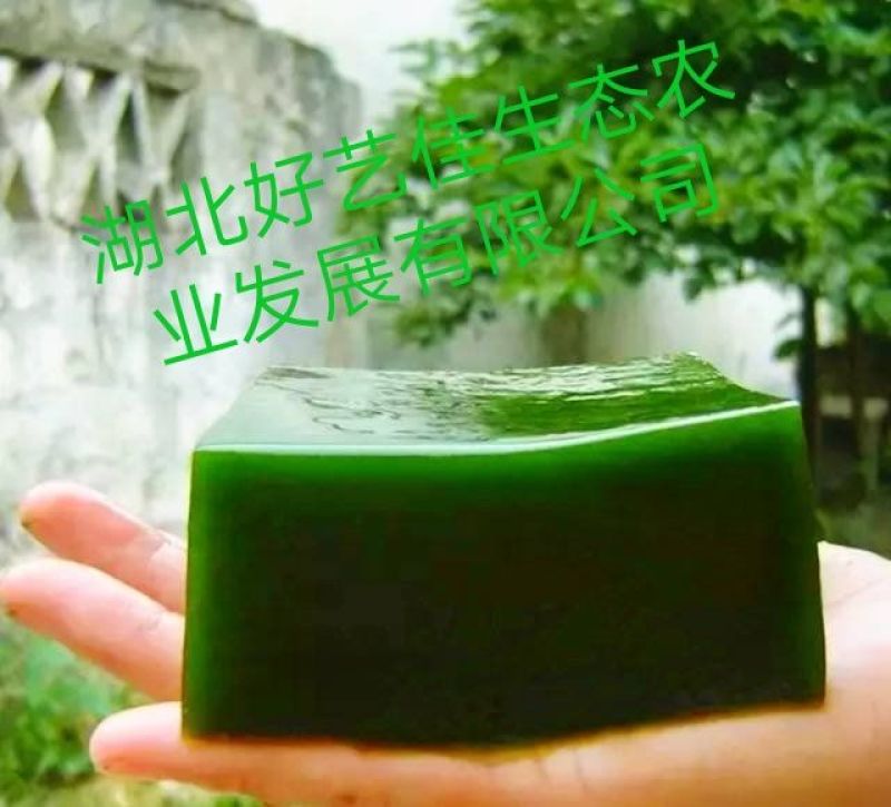 豆腐叶子