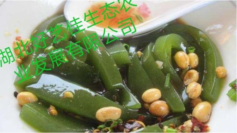 豆腐叶子