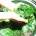 豆腐叶子
