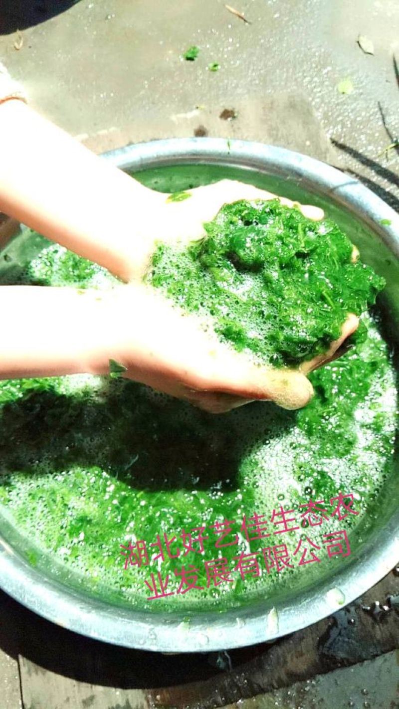 豆腐叶子
