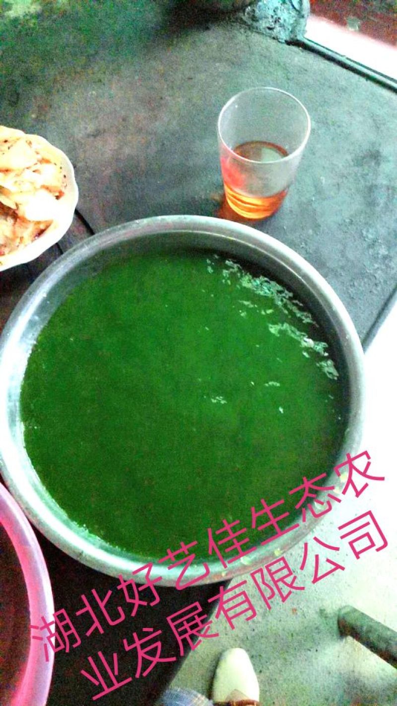 豆腐叶子
