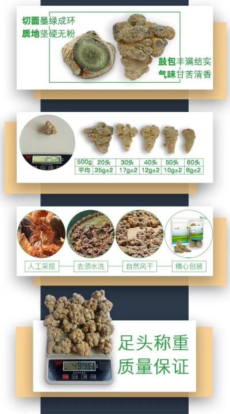 春三七28头足干.厂家批发.促销。远销美国，药企合作伙伴