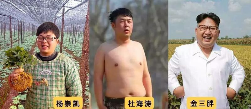 春三七28头足干.厂家批发.促销。远销美国，药企合作伙伴