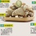 春三七28头足干.厂家批发.促销。远销美国,药企合作伙伴