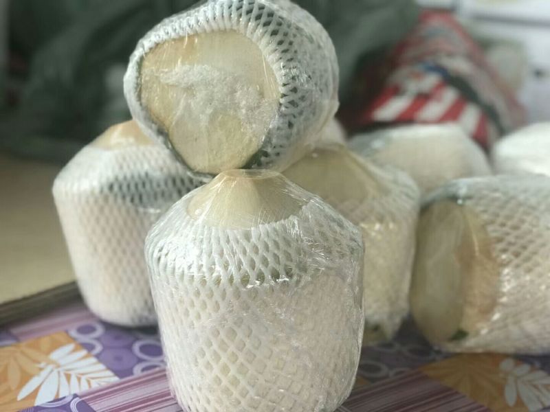 海南椰青9个装