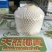 海南椰青9个装