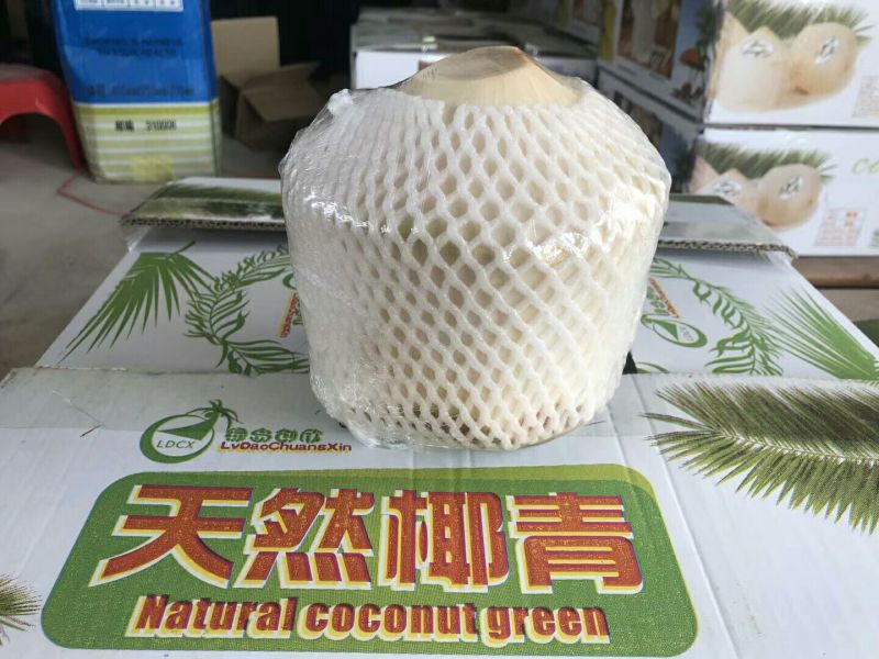 海南椰青9个装