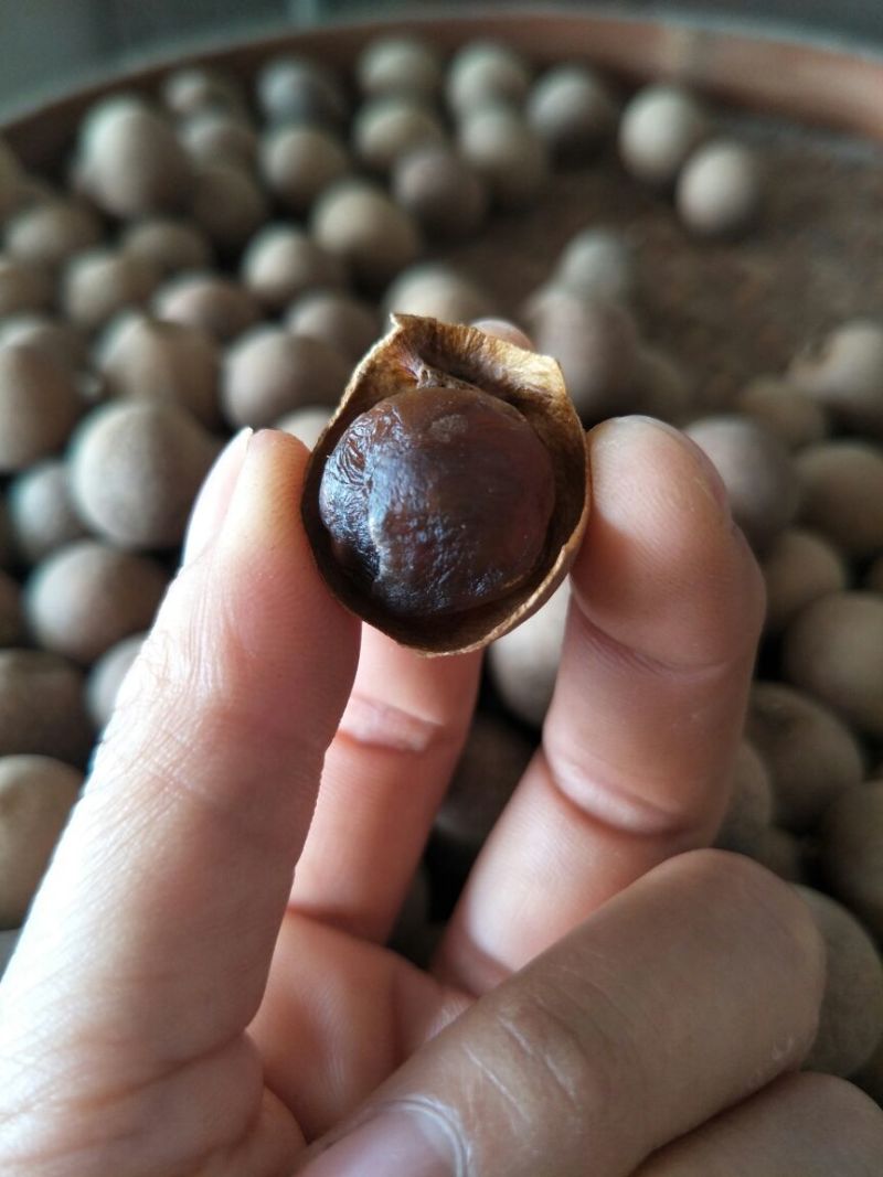 桂圆干每斤