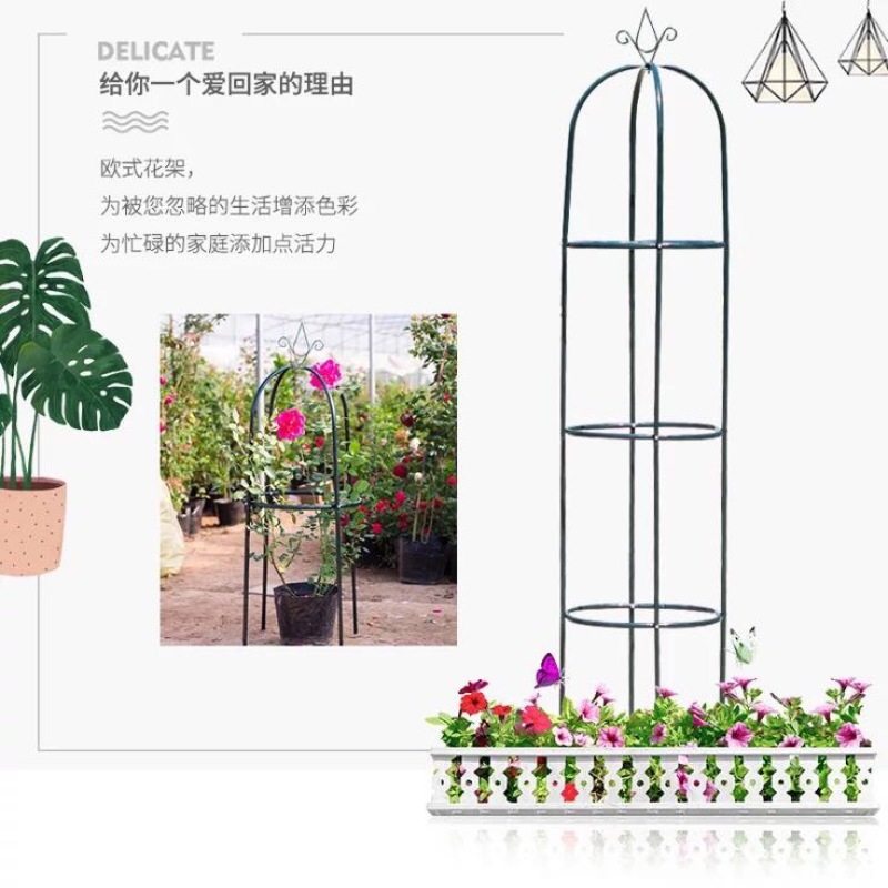 花架子铁