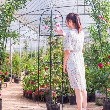 花架子铁