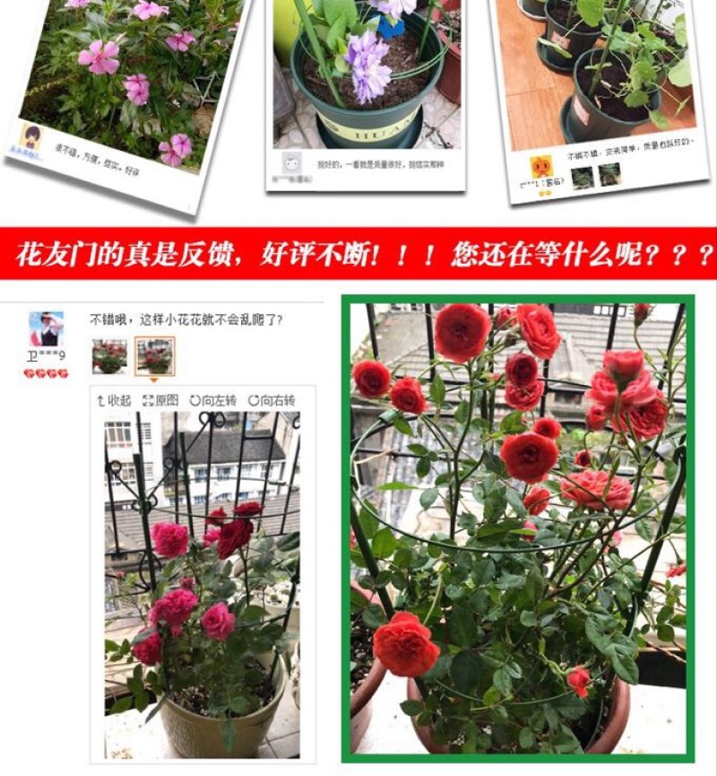 花架子铁