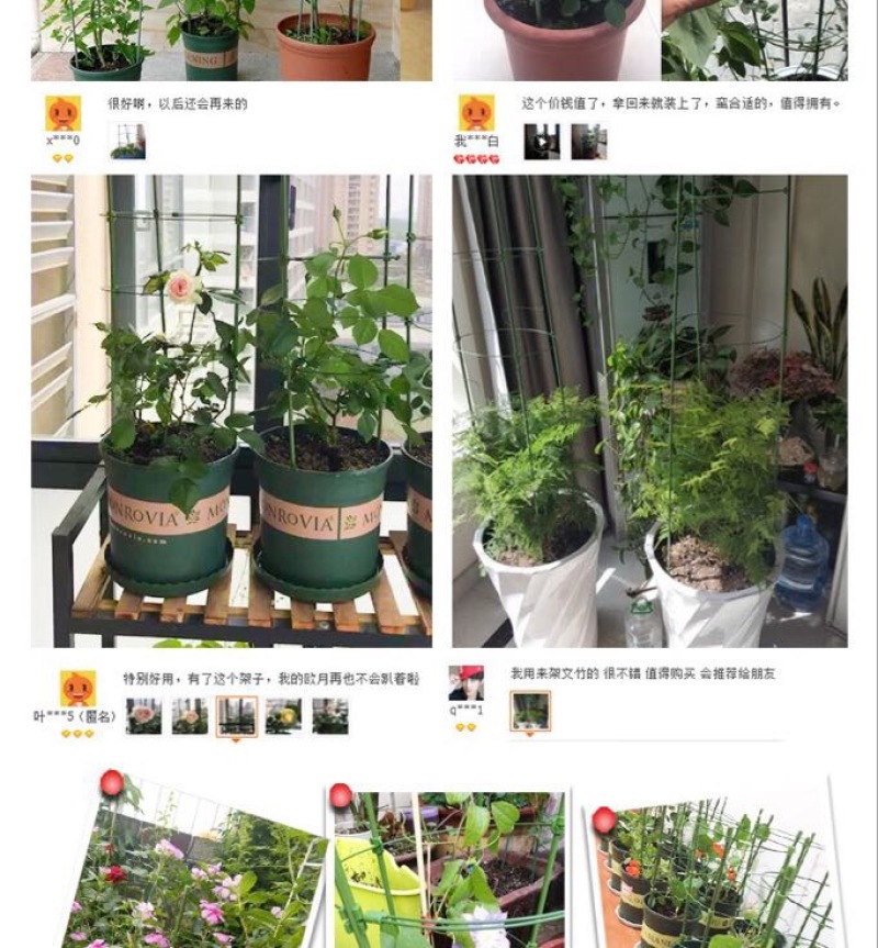 花架子铁