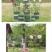 花架子铁