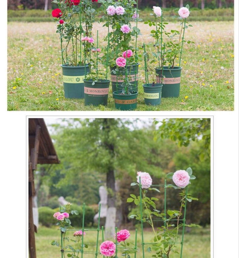 花架子铁