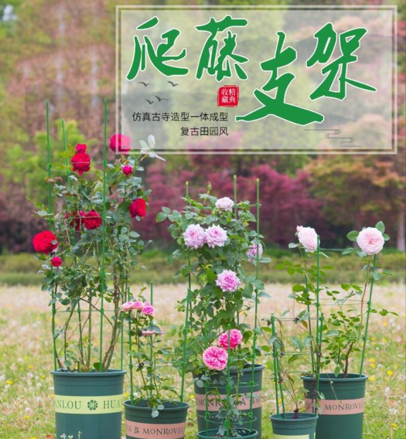 花架子铁