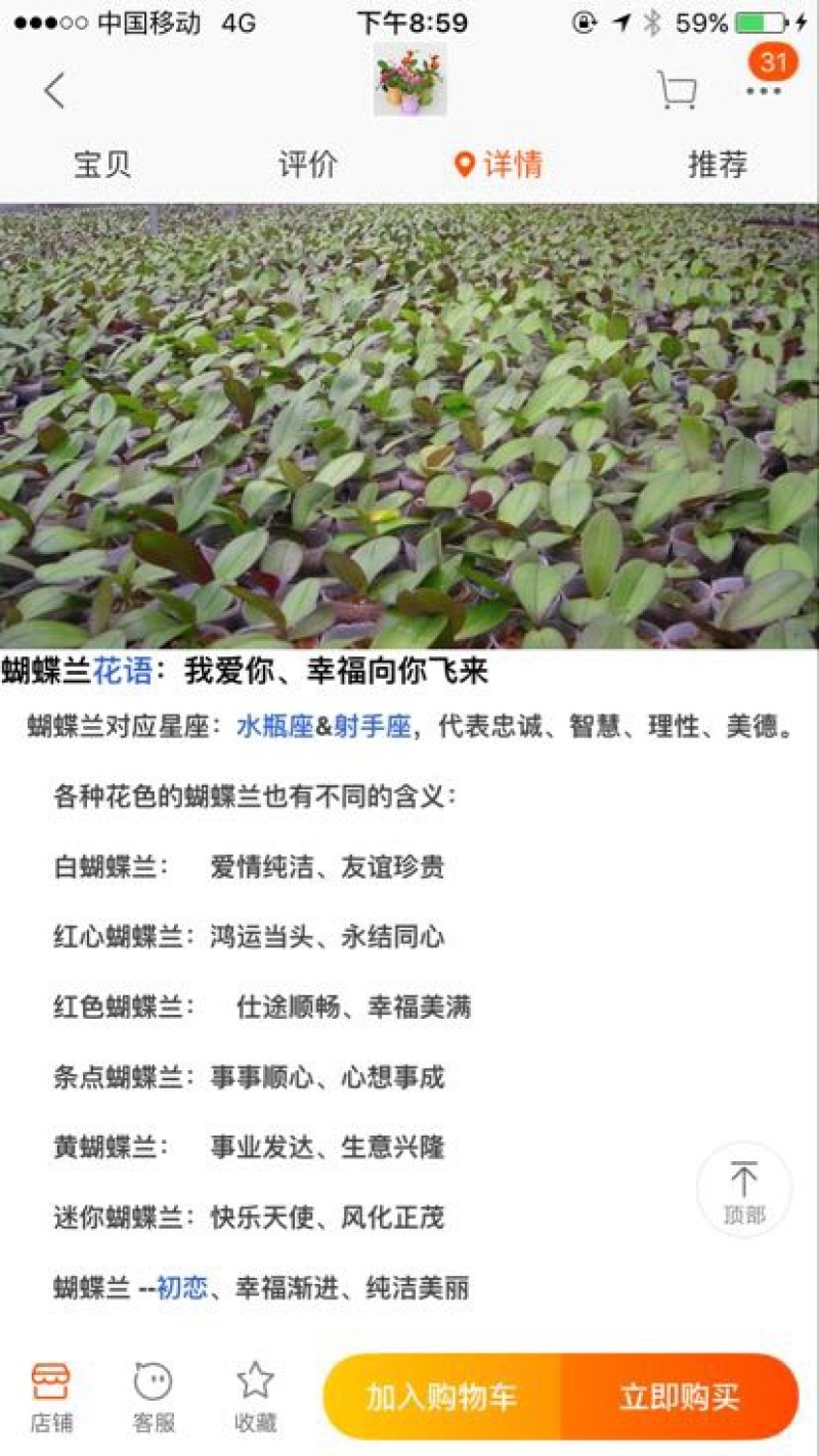 蝴蝶兰